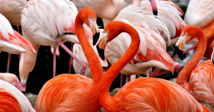 Ein Tag im Tierpark Hellabrunn – Artenschutz, Tierbegegnungen und Bildung